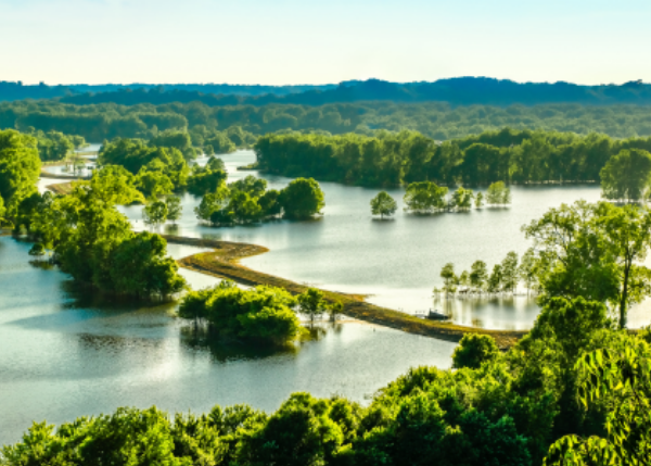 PELD Araguaia: long-term monitoring of biodiversity and aquatic ecosystems in a tropical floodplain